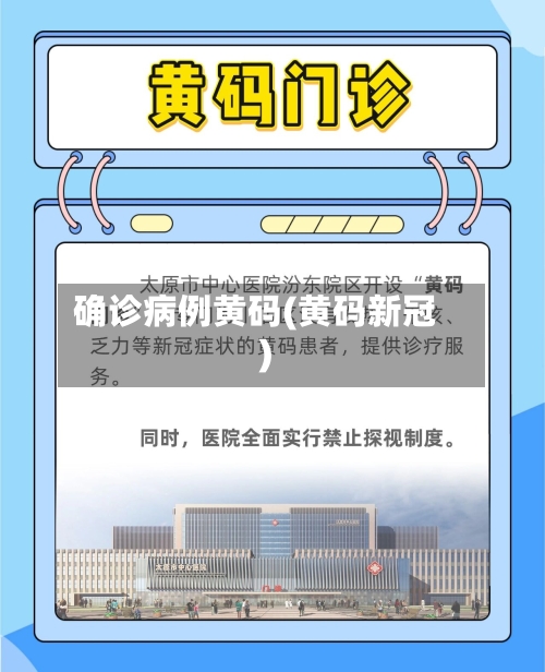 确诊病例黄码(黄码新冠)-第3张图片