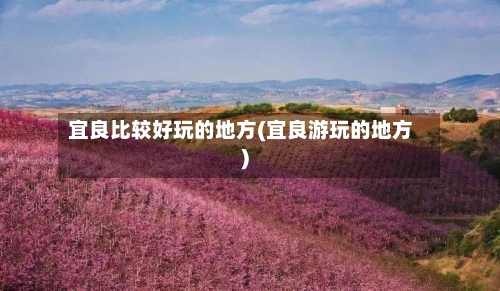 宜良比较好玩的地方(宜良游玩的地方)