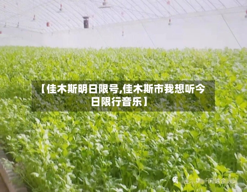 【佳木斯明日限号,佳木斯市我想听今日限行音乐】-第3张图片