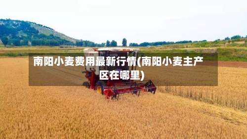 南阳小麦费用最新行情(南阳小麦主产区在哪里)-第3张图片