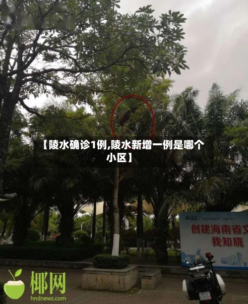 【陵水确诊1例,陵水新增一例是哪个小区】