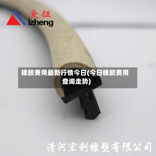 橡胶费用最新行情今日(今日橡胶费用查询走势)-第3张图片