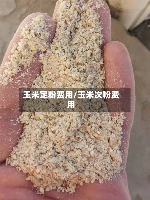 玉米定粉费用/玉米次粉费用-第3张图片