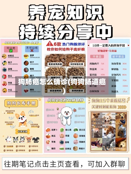 狗肠癌怎么确诊(狗狗肠道癌)-第3张图片