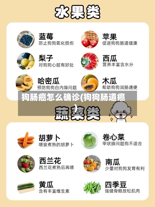 狗肠癌怎么确诊(狗狗肠道癌)