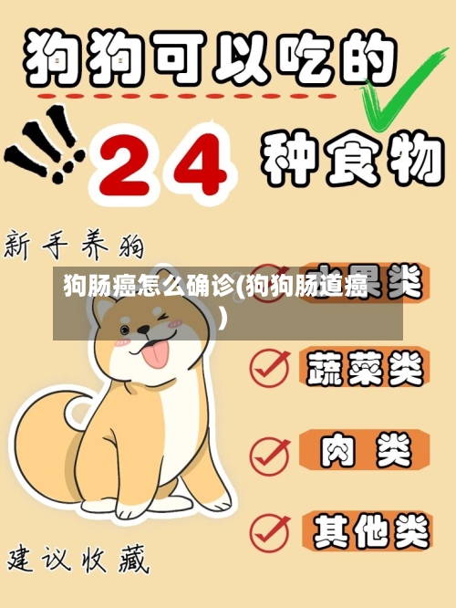狗肠癌怎么确诊(狗狗肠道癌)-第2张图片