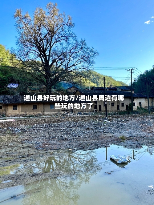 通山县好玩的地方/通山县周边有哪些玩的地方了