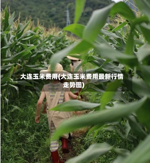大连玉米费用(大连玉米费用最新行情走势图)