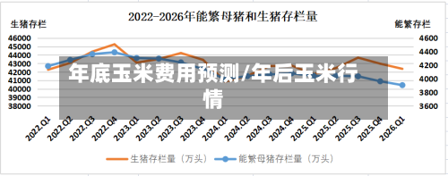 年底玉米费用预测/年后玉米行情