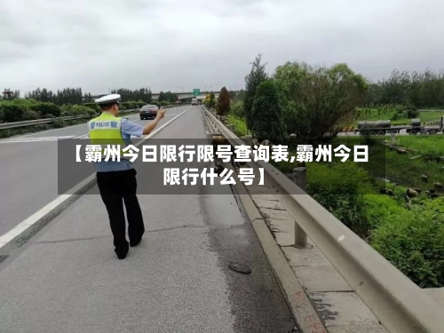 【霸州今日限行限号查询表,霸州今日限行什么号】