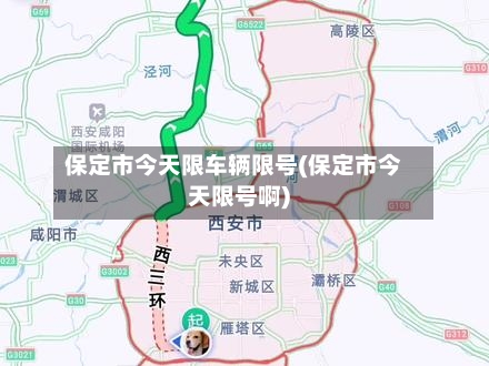保定市今天限车辆限号(保定市今天限号啊)-第2张图片
