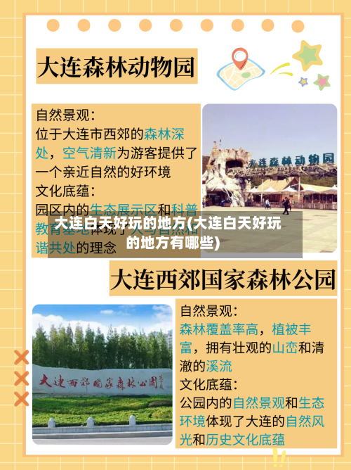 大连白天好玩的地方(大连白天好玩的地方有哪些)-第2张图片