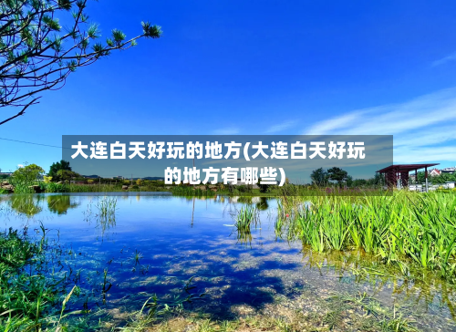 大连白天好玩的地方(大连白天好玩的地方有哪些)