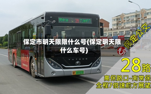 保定市明天限限什么号(保定明天限什么车号)