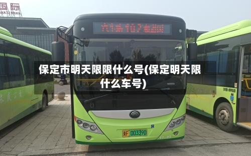 保定市明天限限什么号(保定明天限什么车号)-第2张图片