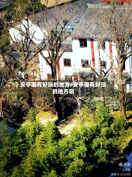 安亭哪有好玩的地方/安亭哪有好玩的地方啊-第2张图片