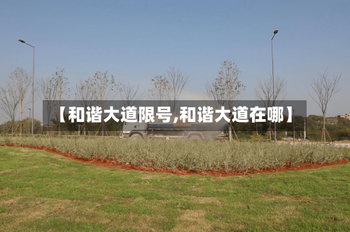 【和谐大道限号,和谐大道在哪】-第2张图片