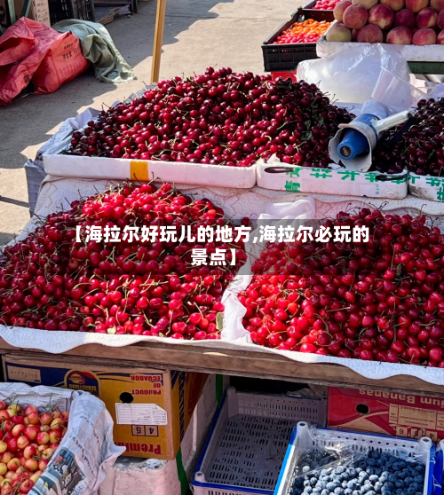 【海拉尔好玩儿的地方,海拉尔必玩的景点】-第3张图片