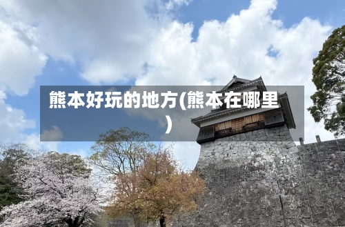 熊本好玩的地方(熊本在哪里)