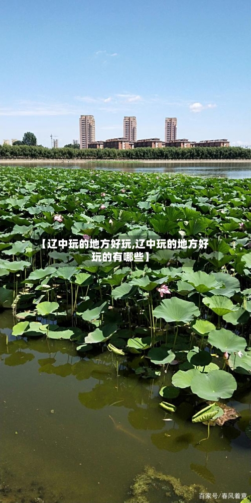 【辽中玩的地方好玩,辽中玩的地方好玩的有哪些】