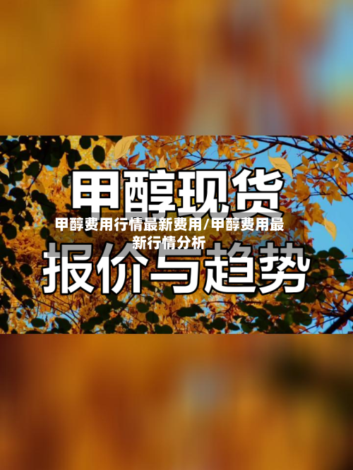 甲醇费用行情最新费用/甲醇费用最新行情分析