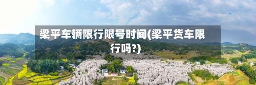 梁平车辆限行限号时间(梁平货车限行吗?)-第2张图片