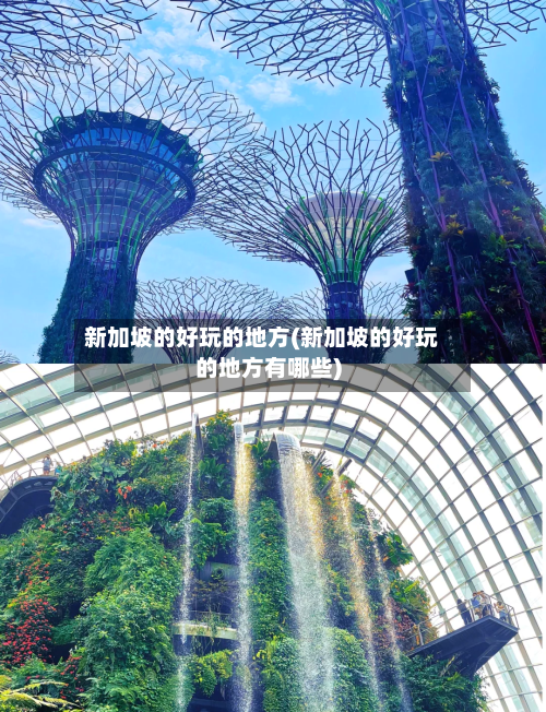 新加坡的好玩的地方(新加坡的好玩的地方有哪些)
