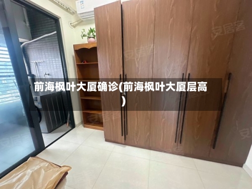 前海枫叶大厦确诊(前海枫叶大厦层高)-第3张图片