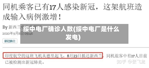 绥中电厂确诊人数(绥中电厂是什么发电)-第2张图片