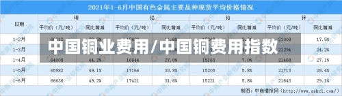 中国铜业费用/中国铜费用指数