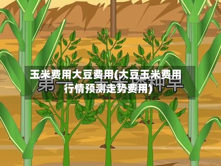 玉米费用大豆费用(大豆玉米费用行情预测走势费用)