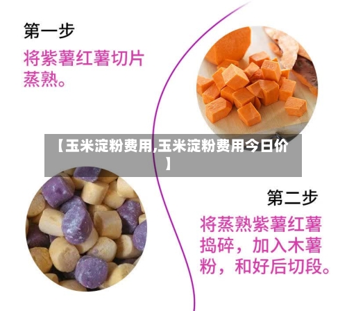 【玉米淀粉费用,玉米淀粉费用今日价】-第2张图片
