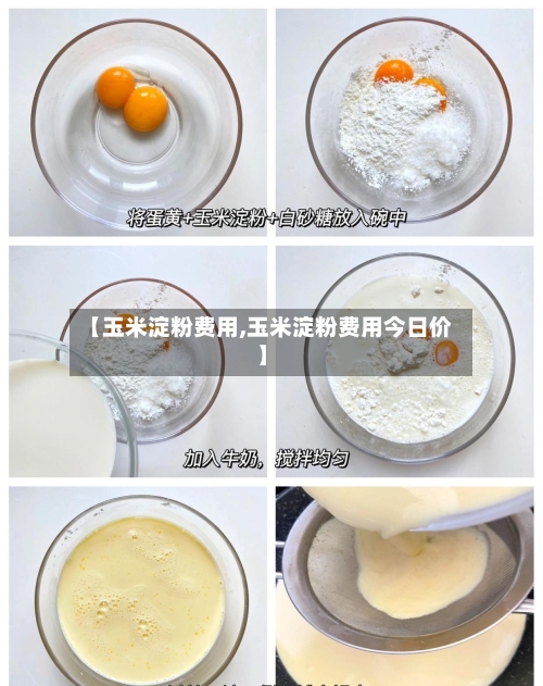 【玉米淀粉费用,玉米淀粉费用今日价】