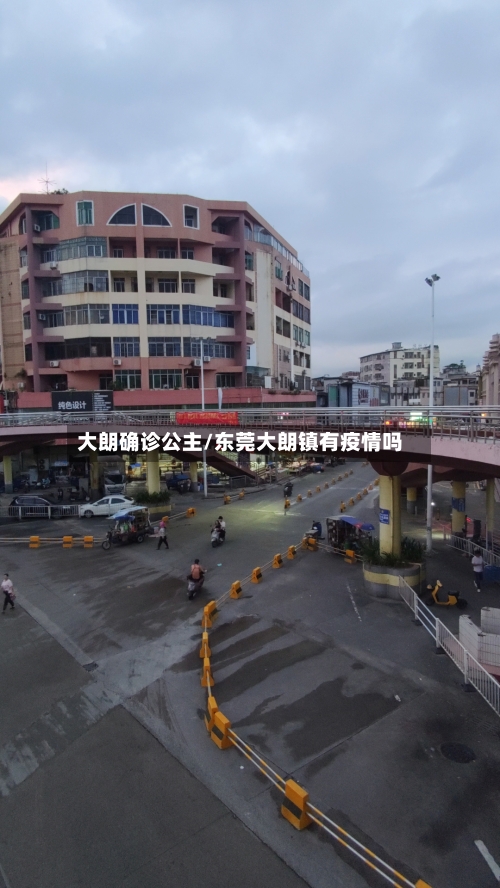 大朗确诊公主/东莞大朗镇有疫情吗