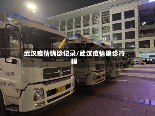 武汉疫情确诊记录/武汉疫情确诊行程
