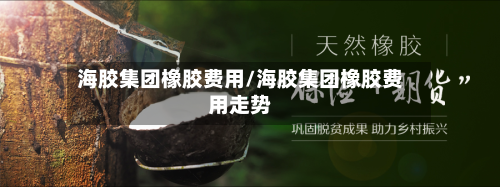 海胶集团橡胶费用/海胶集团橡胶费用走势