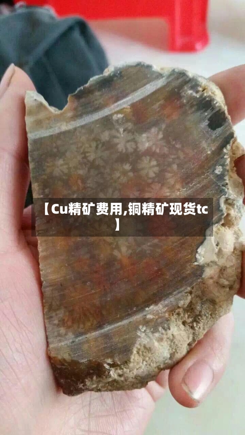 【Cu精矿费用,铜精矿现货tc】