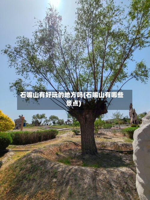 石嘴山有好玩的地方吗(石嘴山有哪些景点)-第3张图片