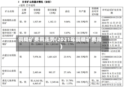 铜精矿费用走势(2021年铜精矿费用)