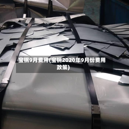 宝钢9月费用(宝钢2020年9月份费用政策)