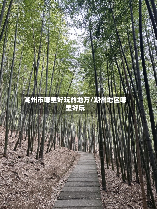 湖州市哪里好玩的地方/湖州地区哪里好玩-第2张图片