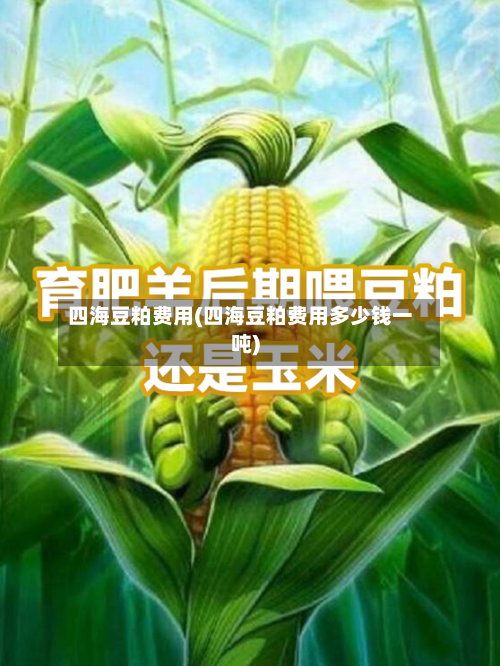 四海豆粕费用(四海豆粕费用多少钱一吨)
