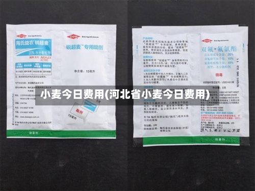 小麦今日费用(河北省小麦今日费用)