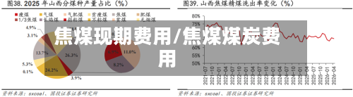 焦煤现期费用/焦煤煤炭费用-第2张图片