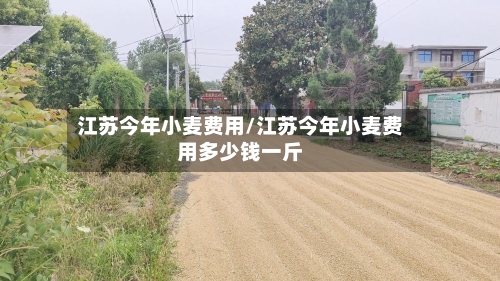 江苏今年小麦费用/江苏今年小麦费用多少钱一斤
