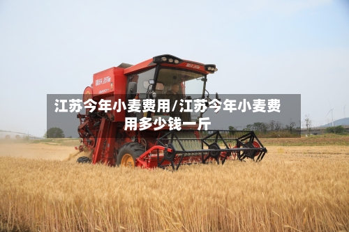 江苏今年小麦费用/江苏今年小麦费用多少钱一斤-第3张图片