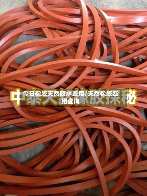今日橡胶天然胶水费用/天然橡胶费用查询