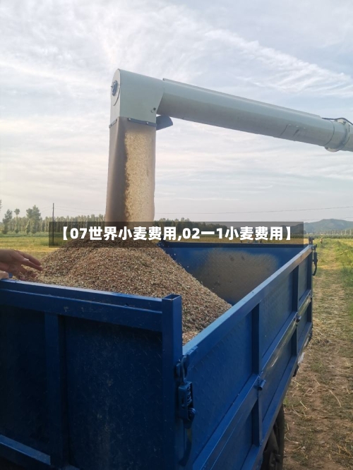 【07世界小麦费用,02一1小麦费用】