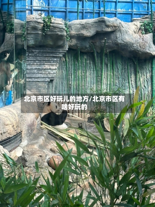 北京市区好玩儿的地方/北京市区有啥好玩的-第2张图片