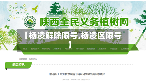 【杨凌解除限号,杨凌区限号】